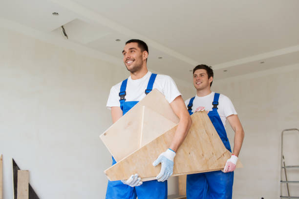 Best Basement Cleanout  in Lone Pine, CA